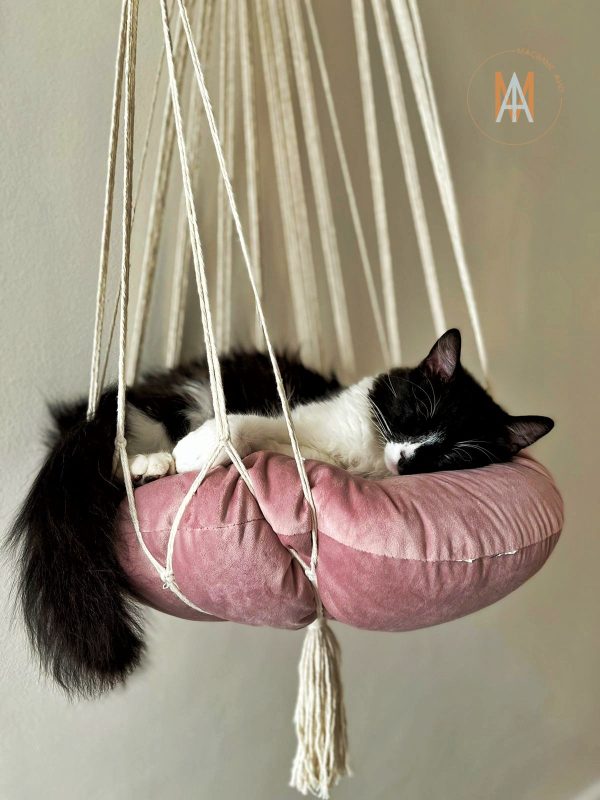 Hamac Chat – Image 2