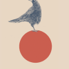 Affiche A3 Bird (Fondation Hiba)