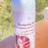 Shampoing Natural sans sulfates au gel d'escargot